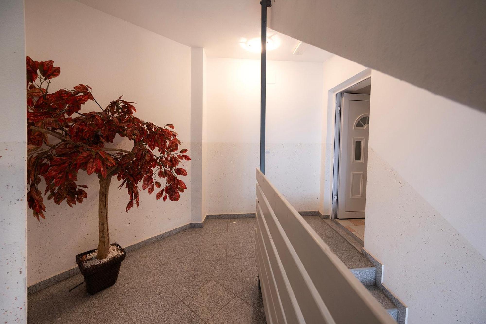 Grom Ribno Apartments Bled Eksteriør billede